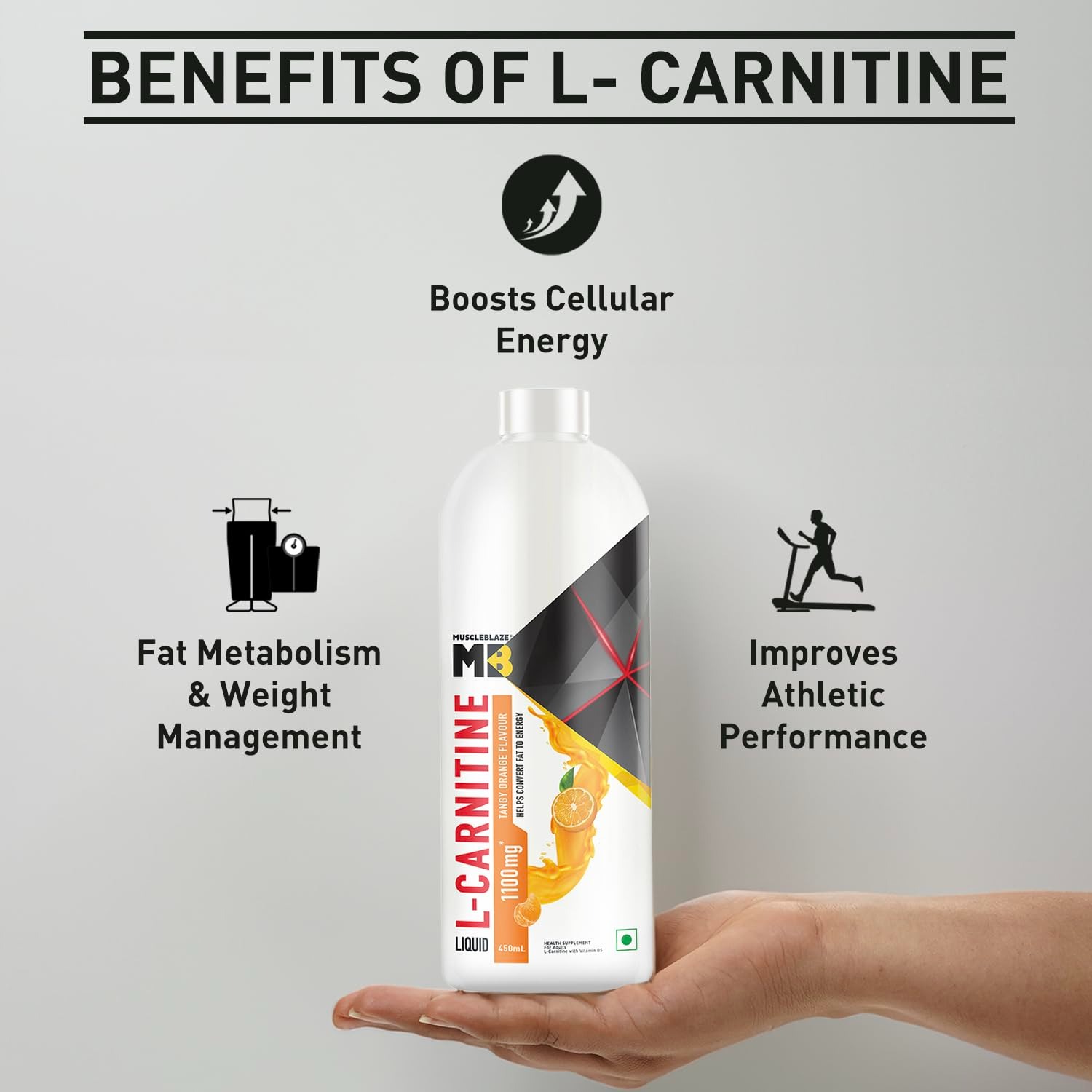imgi 276 61mpkz00vgl. sl1500 L-Carnitine
